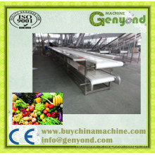 Fruit Vegetable Processing Making Machine for Sale